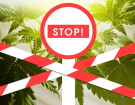 La Prohibición Federal de Productos de Cáñamo Intoxicantes Profundiza la Incertidumbre sobre el Registro de Marcas para el CBD.