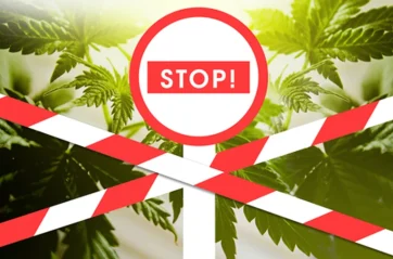 Federal Ban on Intoxicating Hemp Products Deepens Trademark Uncertainty for CBD Brands