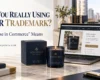 Are You Really Using Your Trademark? What “Use in Commerce” Means